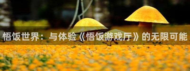 杏盛平台服务