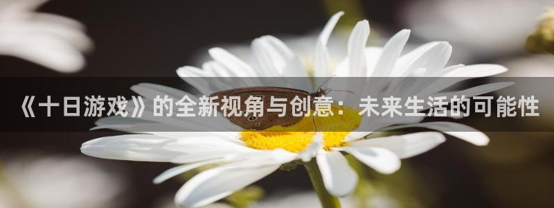 杏盛登录下载