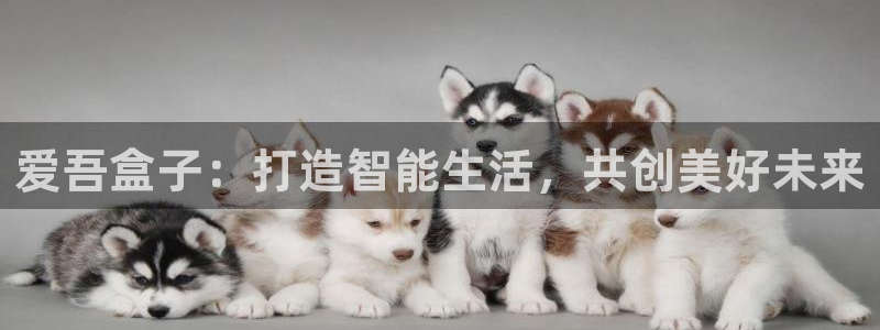 杏盛平台主管：爱吾盒子：打造智能生活，共创美好未来