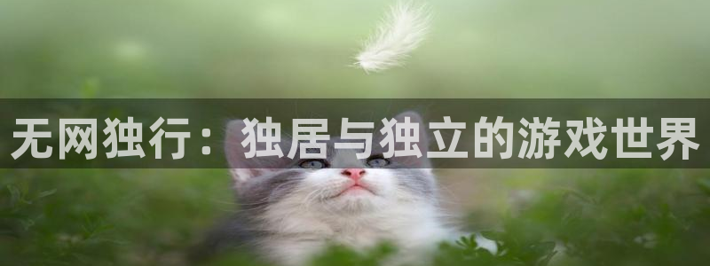 杏盛娱乐：无网独行：独居与独立的游戏世界