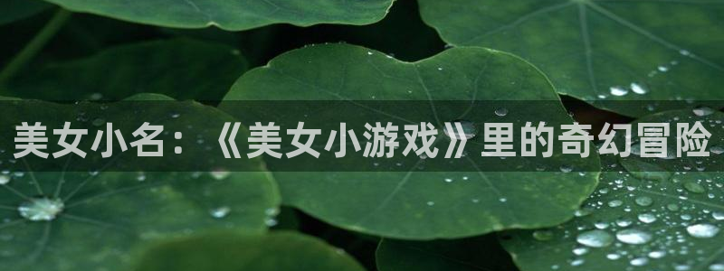 杏盛登录注册：美女小名：《美女小游戏》里的奇幻冒险