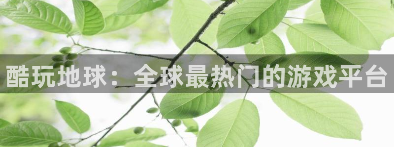 杏盛注册流程和入口
