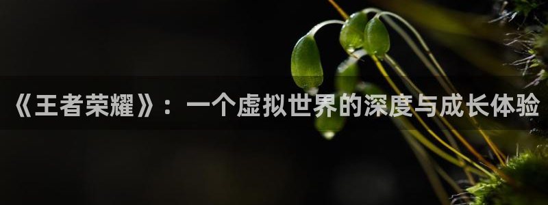 杏盛平台代理：《王者荣耀》：一个虚拟世界的深度与成长体验