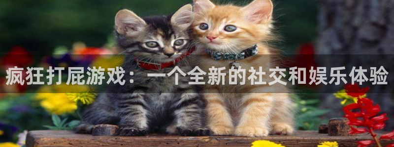 杏盛注册流程和入口