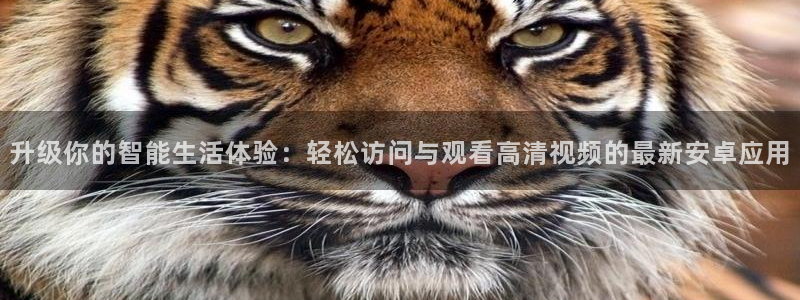 熊猫视：升级你的智能生活体验：轻松访问与观看高清视频的最新安卓应用