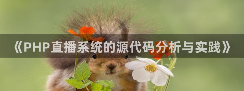 熊猫熊猫歌曲：《PHP直播系统的源代码分析与实践》