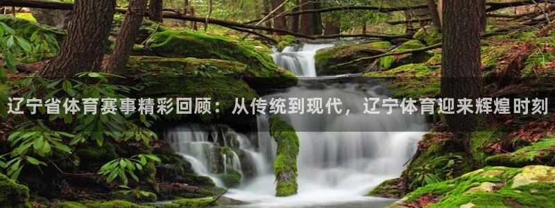 熊猫直播免费视频：辽宁省体育赛事精彩回顾：从传统到现代，辽宁体育迎来辉煌时刻
