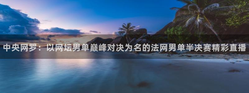 熊猫nba直播视频：中央网罗：以网坛男单巅峰对决为名的法网男单半决赛精彩直播