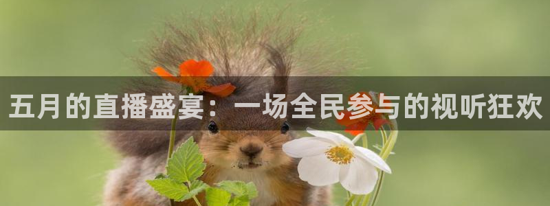 熊猫主播视频：五月的直播盛宴：一场全民参与的视听狂欢