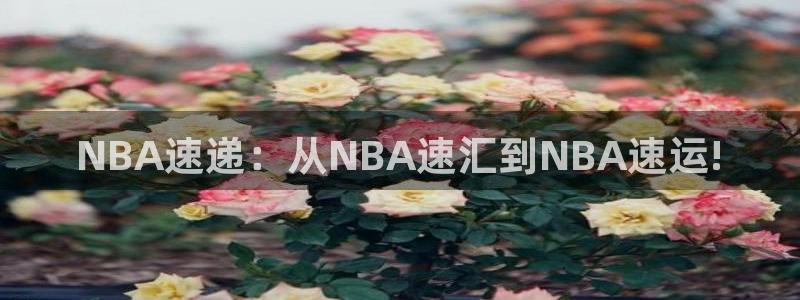 熊猫体育在线：NBA速递：从NBA速汇到NBA速运!