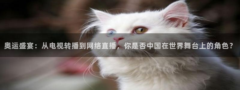 熊猫视频搞笑：奥运盛宴：从电视转播到网络直播，你是否中国在世界舞台上的角色？