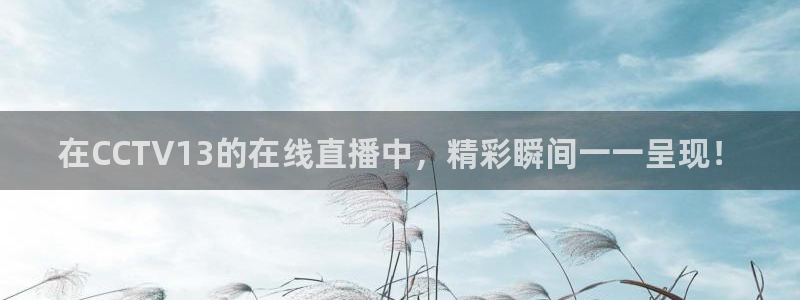 熊猫视频 直播：在CCTV13的在线直播中，精彩瞬间一一呈现！