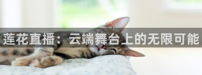 下载熊猫直播：莲花直播：云端舞台上的无限可能
