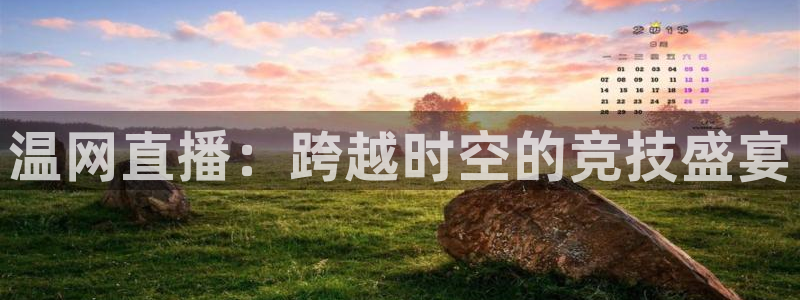熊猫体育直播平台：温网直播：跨越时空的竞技盛宴