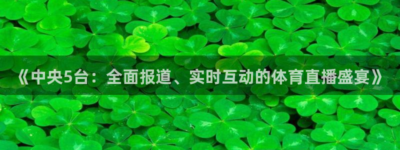 熊猫tv直播：《中央5台：全面报道、实时互动的体育直播盛宴》