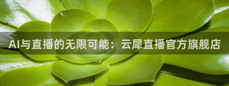 熊猫直播平台：AI与直播的无限可能：云犀直播官方旗舰店