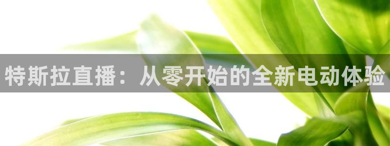 熊猫的视频：特斯拉直播：从零开始的全新电动体验