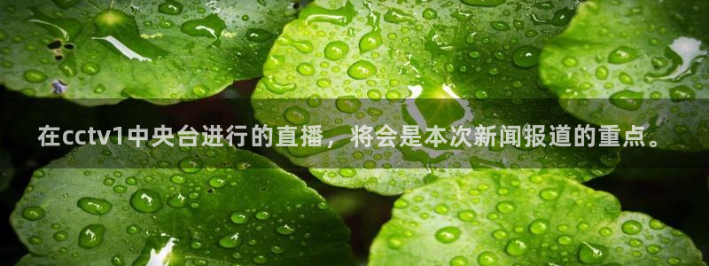 熊猫app直播：在cctv1中央台进行的直播，将会是本次新闻报道的重点。