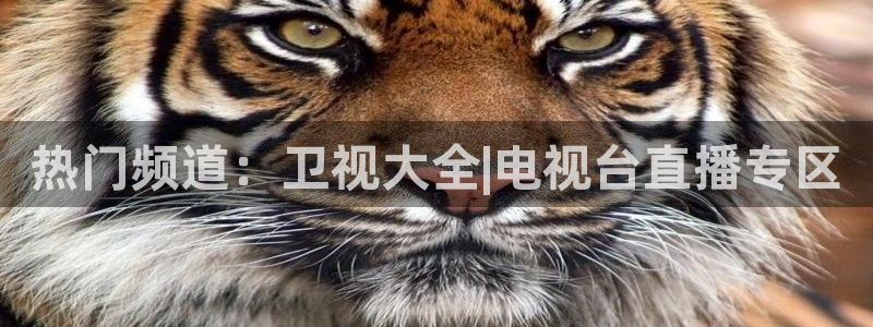 熊猫体育直播信誉第一.好玩网.top：热门频道：卫视大全|电视台直播专区