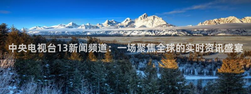 熊猫直播下载免费安装：中央电视台13新闻频道：一场聚焦全球的实时资讯盛宴