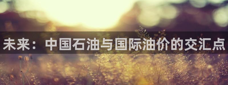 熊猫体育手机版：未来：中国石油与国际油价的交汇点